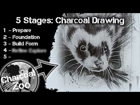 How to Draw a Ferret - 5 Step-by-Step Charcoal Simple Art Tutorial