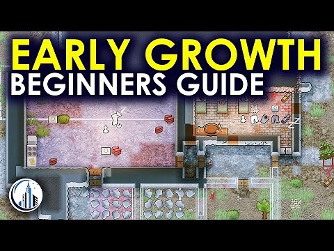Early Steps For A Young Colony | RimWorld Ultimate Beginners Guide