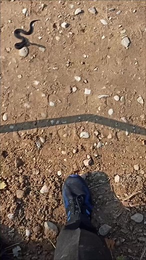 MELNAIS_VIP (@melnais_vip)’s videos with original sound - MELNAIS_VIP