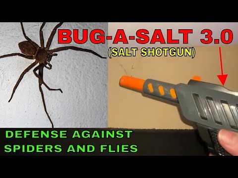 SALT GUN: BUG-A-SALT 3.0 Black Fly Edition vs SPIDERS and FLIES