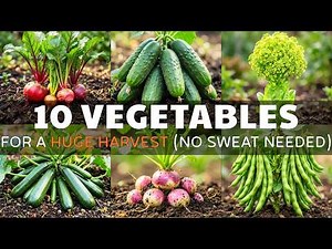 10 Vegetables That Are Too EASY to Grow — Perfect for Lazy Gardeners!