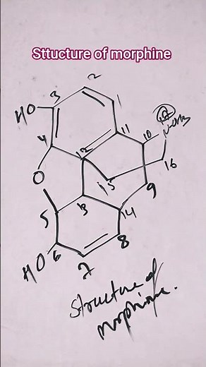 Structure of Morphine #morphine #structure #drug #education #medchem#chemistry