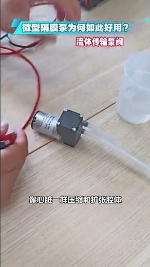 🤖 Why Micro Diaphragm Pumps Work SO WELL: The Science Explained!