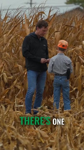 @justajacksonthing’s passion for farming is on full display while inspecting his Stine corn crop with company president Myron Stine. The two talk about kernel depth before comparing ears of corn. | JustAjacksonthing