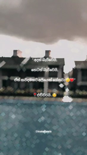 අනිවා බස්සනවා පන්තියක්ම😏#CapCut #dreams #elephant #thoughts #lifegoals #goals #srilankan #ceylon #elephants #herd #tuskers #owner #billionaire #millionaire #fyp #foryou #trending #2023