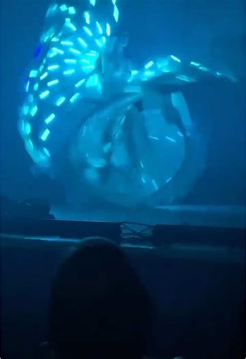 Experience the Velvet Burlesque with Vicky Butterfly