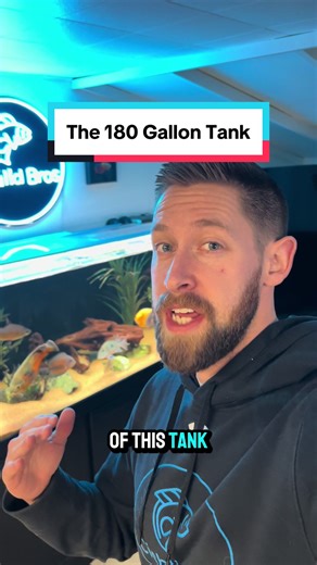 180 Gallon South American Cichlid Tank Overview
