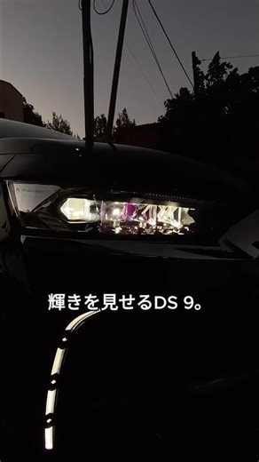 日本にはないフランス車だけの独創的なデザイン