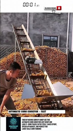 Automatic Corn Conveyor – Fast & Labor Saving!