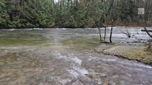 Rushing river in Coquitlam, BC with a rainy week ahead