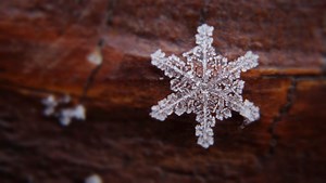 Remembering Buffalo's epic 2014 'Snowvember' lake-effect snowstorm