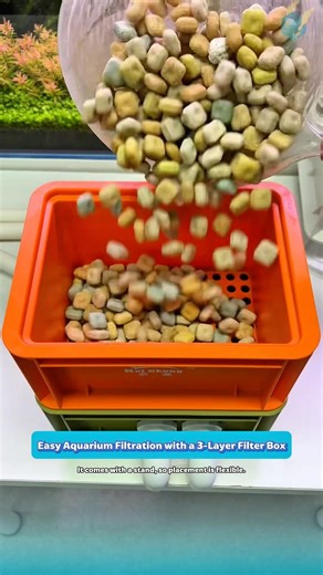 Easy Aquarium Filtration with a 3-Layer Filter Box