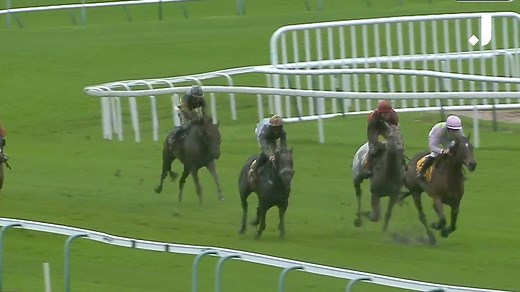 The Haydock hero! 🏆 All FIVE of Royale Pagaille’s course wins 💗💚 | The Jockey Club