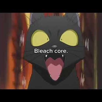#bleach #bleachcore #ichiho