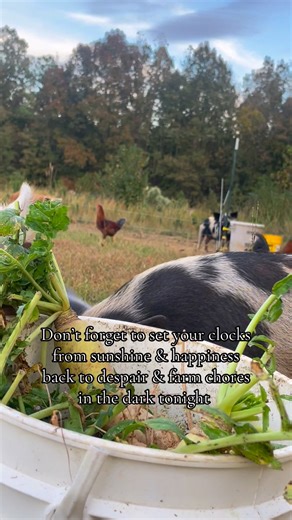 The dreaded time change is upon us. 🕰️ Seasonal depression, where ya at? 🍂 | Emily Lynn Edwards