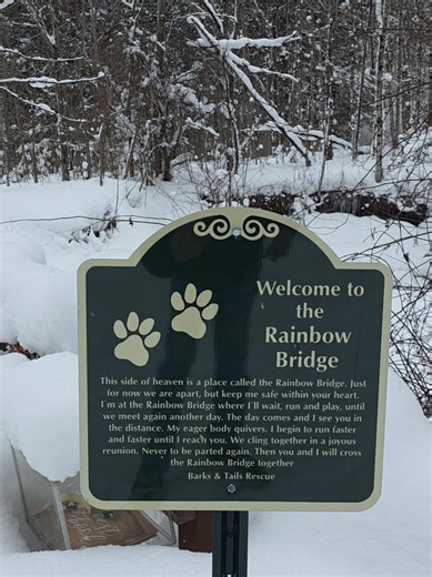 Barks & Tails Rescue: Exciting 2026 Adoption Updates