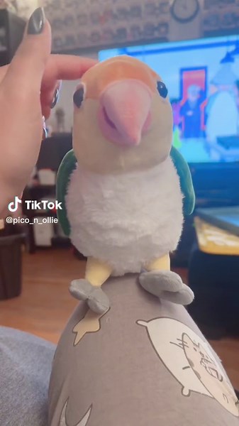 Support the Pico Plush Campaign – Only 2 Weeks Left!