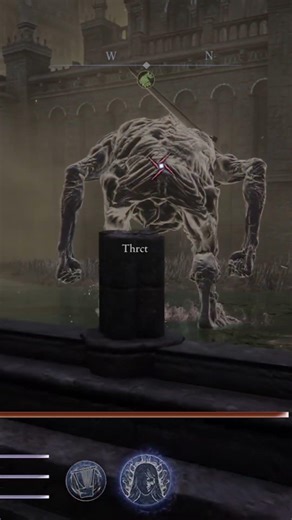 bros brain was a loading screen #eldenring #nightreign