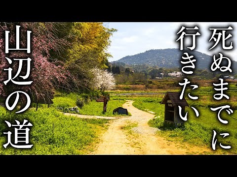 【JAPAN in 8K】Old trail Nara Yamanobe-no-michi from Tneri to Miwa