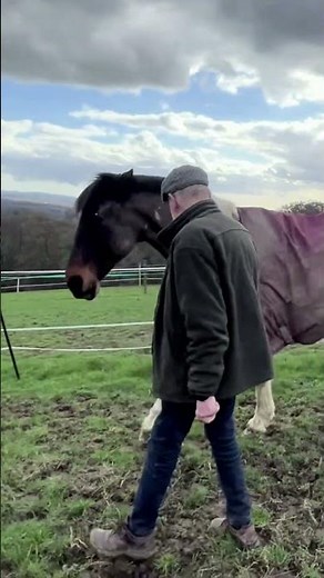 How Tension Builds -The Man From Snowy River - Watch the full poem here https://youtu.be/rxoB_Y7sdWY
