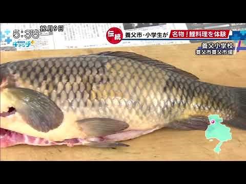 養父市の郷土料理「鯉料理体験」 かつて養殖が盛ん