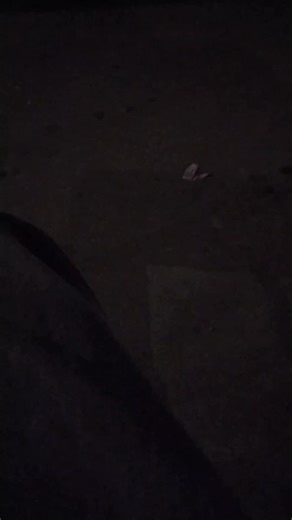 lokeewofe9@gmail.com (@adamvaldivia4)’s videos with original sound - Katrina Leeann