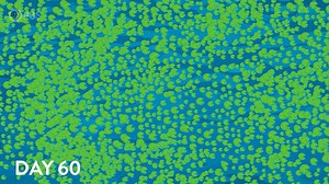 Why does "flattening the curve" matter? Check out this interesting explanation that uses a lilly pond as an example. Why does "flattening the curve" matter? Check out this interesting explanation that uses a lily pond as an example. | PBS12