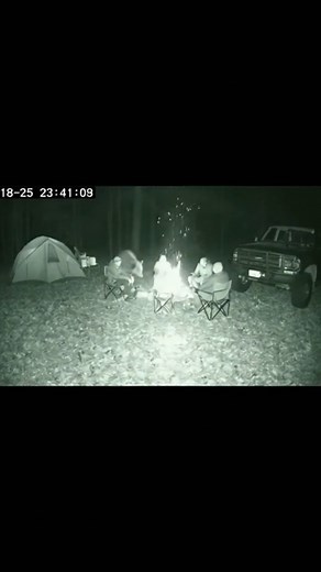 Camping trip turns into a nightmare!😳 A group of friends were spending a quiet night at their campsite, sitting around the fire and talking. Their tent was set up nearby and a cooler sat just outside, carrying the scent of food into the dark woods. A large black tiger wandered in from behind the tent, moving slowly and calmly, likely following the smell. The campers noticed it at the last second and scrambled away in shock. In the rush, one of their chairs tipped into the fire and began to burn