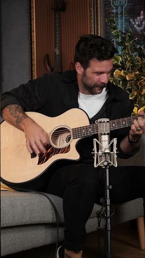 Taylor Guitars 50th Anniversary Collection | Thomann