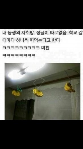 Funny Korean Meme Compilation You Must See