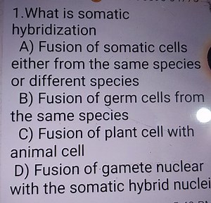 What is somatic hybridizationA) Fusion of somatic cells either... | Filo