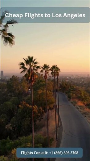 Cheap Flights to Los Angeles (LAX) – Best Deals with Flights Consult