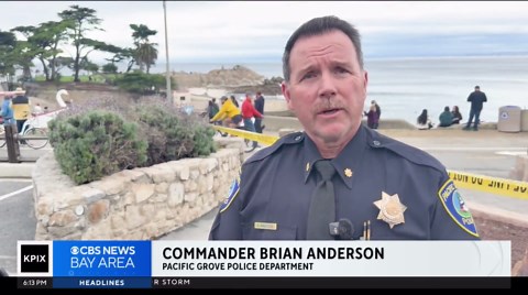 Search underway for missing swimmer in Pacific Grove