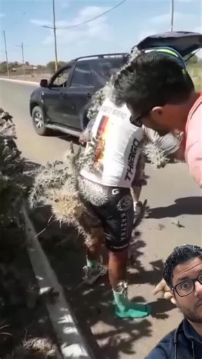 Dr. Chad on Instagram: "How to successfully remove cacti needles! Follow for more vital health/wellness tips!"