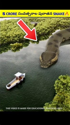 1000 Years Old Giant Snake 🔥'Naga'🐍|#telugufacts #telugu #shorts #viralnews #viral