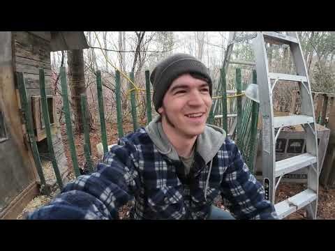 Gathering and boiling maple syrup in my new sugarhouse I made from garbage.