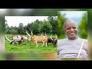 The story of Rutinywa Rugeyo, a lifetime guardian of Rwanda’s Inyambo legacy