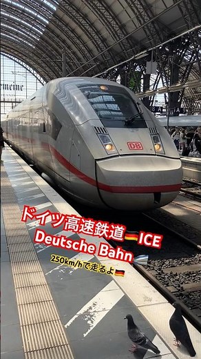 ドイツの高速鉄道🇩🇪ICE🚄250km/hで走るよ🚄#フランクフルト#germany #ドイツ#deutschebahn #鉄道