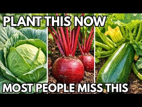 16 Crops You NEED To Start In April