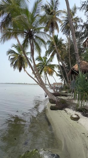 Vivez l'expérience au Paradise Camp à Jacqueville