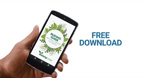 Download The Budwig Guide Today - The Budwig Center