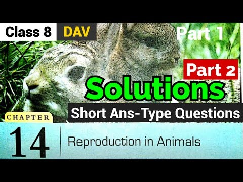 DAV class 8 Science Chapter 14 Reproduction in Animals || Short Ans-Type Questions