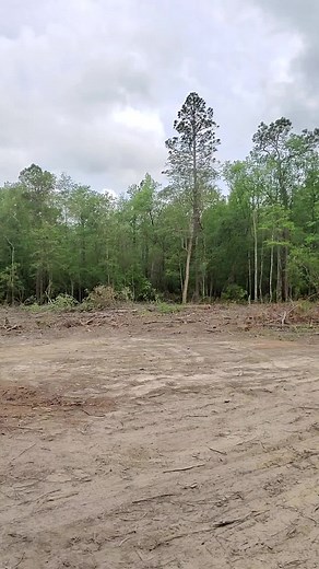 #loggerslife #logtruck ##mack #tigercat #southernlogger #swamploggers #woodslife #swamplife