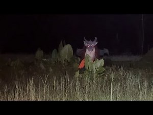 DETIK DETIK JIN INI MENEROBOS MASUK RUMAH