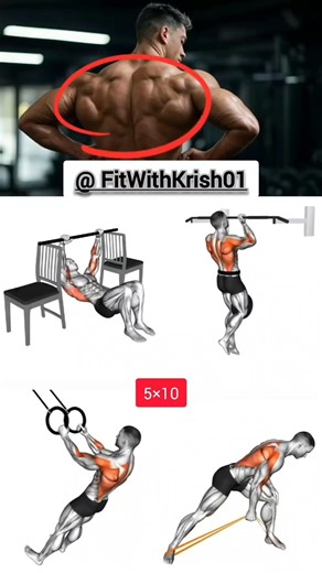 Back Workout at Home💪 | No Equipment Needed | Strong & Fit Back #shorts #back #backday #gym #fitness