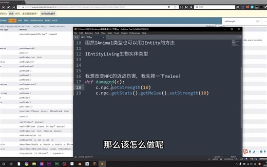 《我的世界自定义NPC脚本高级课》1.2.1 API的结构