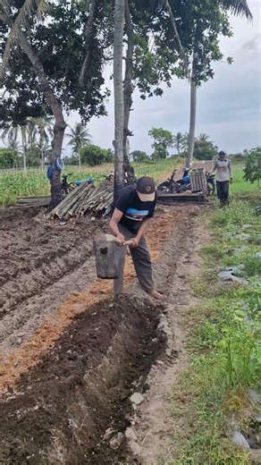 Simple tool for loosening agricultural soil -Agriculture farming #shorts