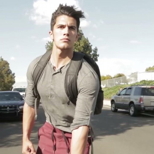 Aaron's Animals - Cat Sledding