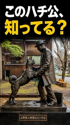 10年待った忠犬ハチ公、その後どうなったか知っていますか#Shorts #忠犬ハチ公 #ハチ公 #渋谷 #東京大学 #秋田犬 #歴史 #感動