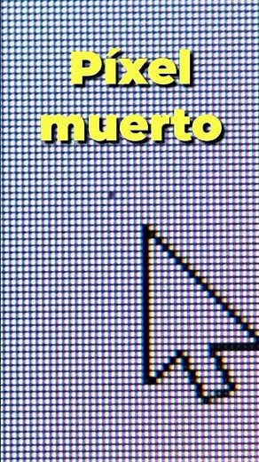 🤔 Is there any way to fix dead pixels on your monitor?